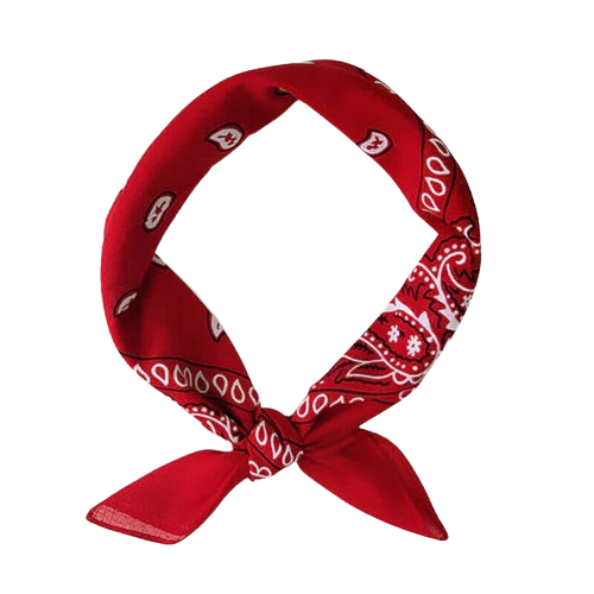 Europe Bound Bandanas 5 pack - ScoutTech