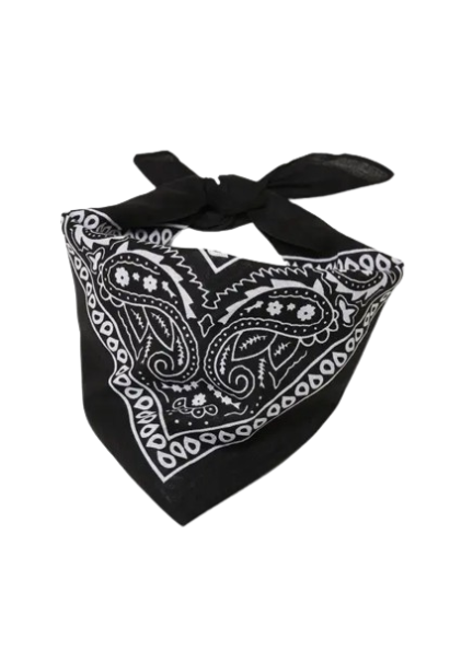 Europe Bound Bandanas 5 pack - ScoutTech