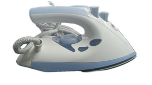 House of 220 Antique Steam Iron