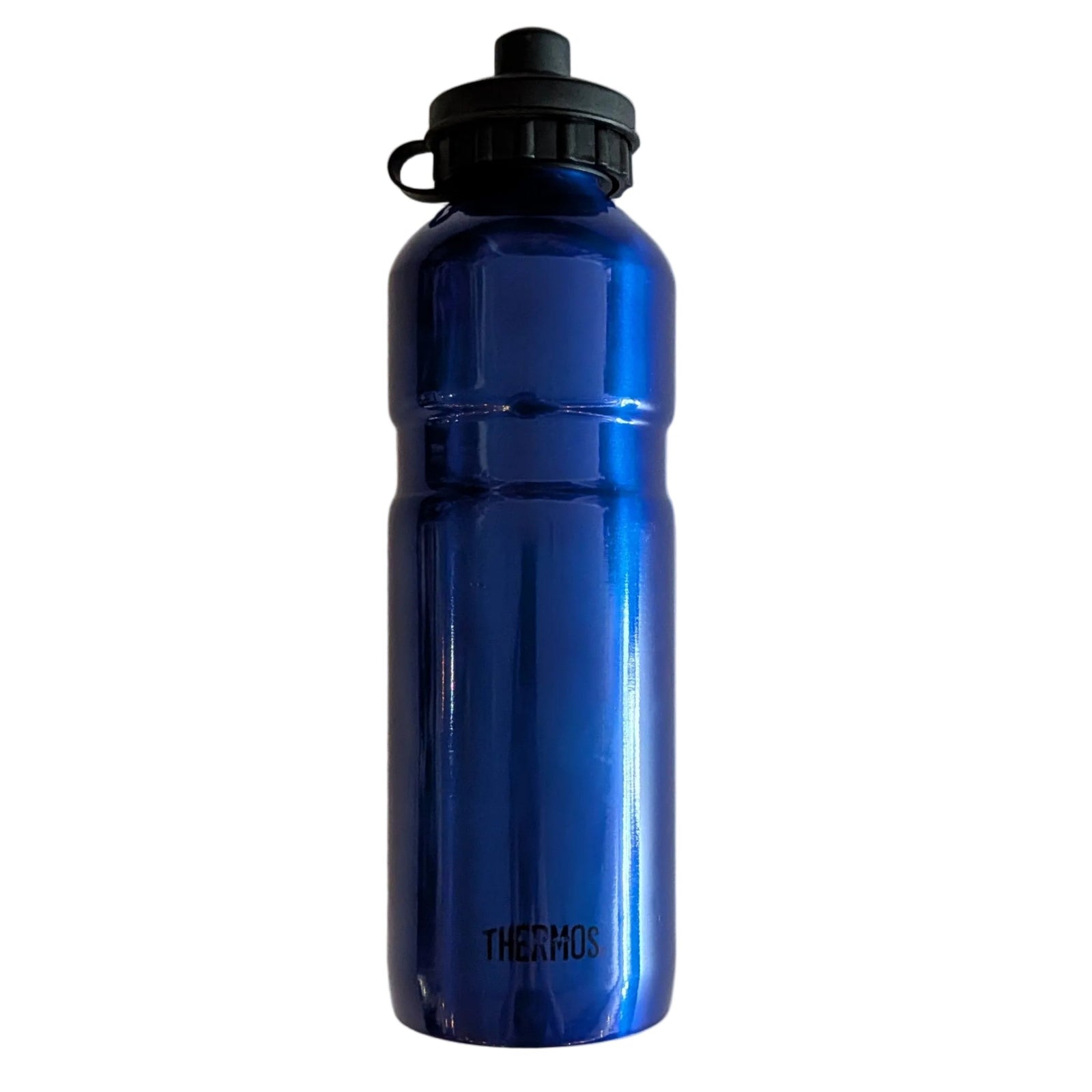 Thermos Brand Stainless Steel Bottle with Flip-top lid n Blue | ScoutTech Outfitters Mississauga Store