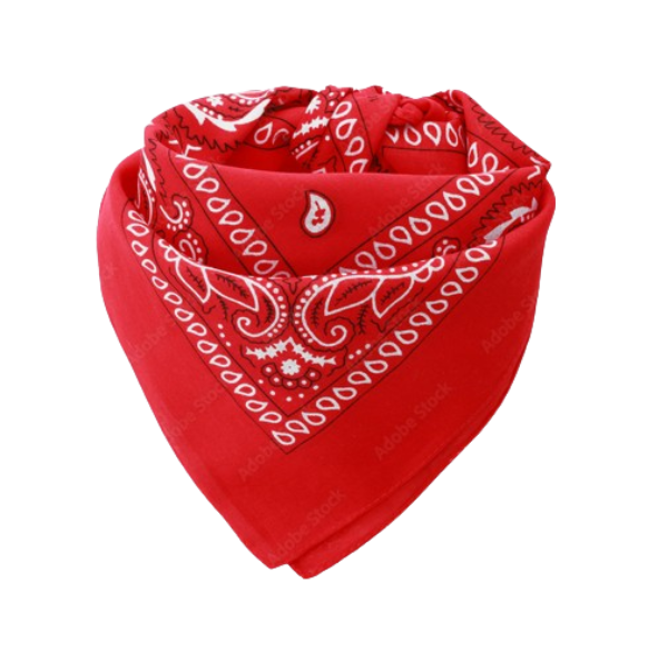 Europe Bound Bandanas 5 pack - ScoutTech