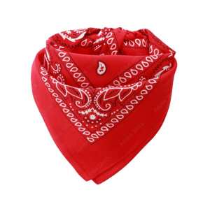 Europe Bound Bandanas 5 pack