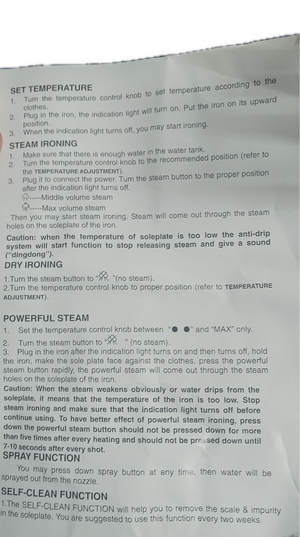 House of 220 Antique Steam Iron