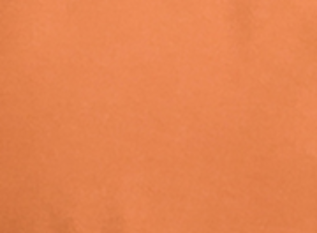 Outdoor Survival Canada OSC Women's Jaci -40C/F Down Parka - Made in Canada - ScoutTech