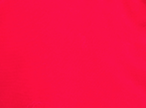 Outdoor Survival Canada OSC Men's Nevluk -40°C/F Down Parka - ScoutTech