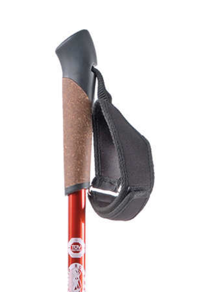 RockWater Designs Nordic Walking Poles Pair - ScoutTech