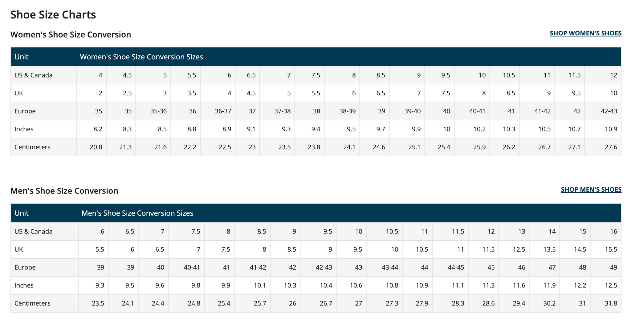 Jack wolfskin sales size chart womens