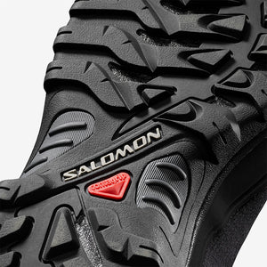 Salomon Shelter CS WP Men's Shoe